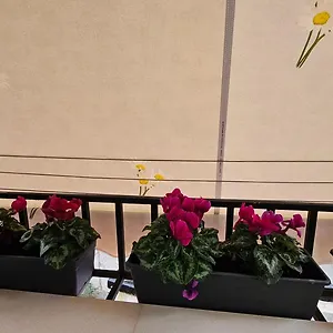 Center Appartamento Tirana